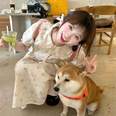 桃花劫